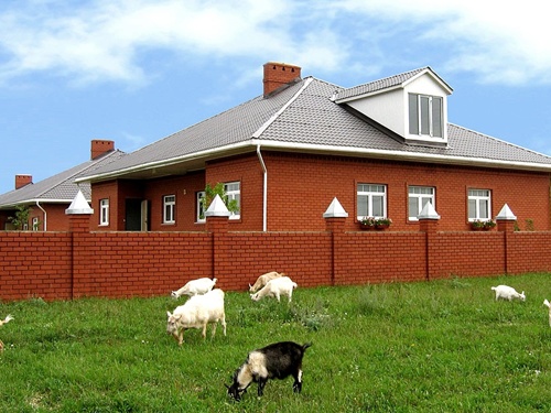 ������ ����������� ���� �� ����